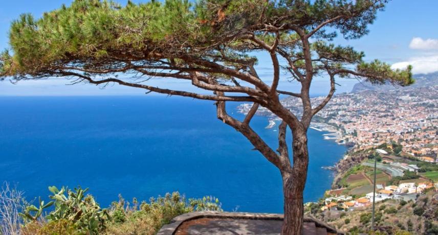 فيلا Berco Funchal المظهر الخارجي الصورة